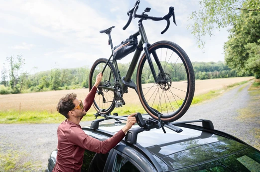 Fahrradträger Sommer